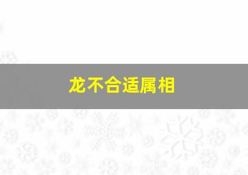 龙不合适属相