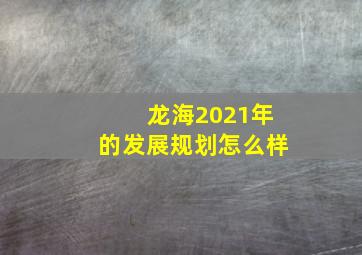 龙海2021年的发展规划怎么样