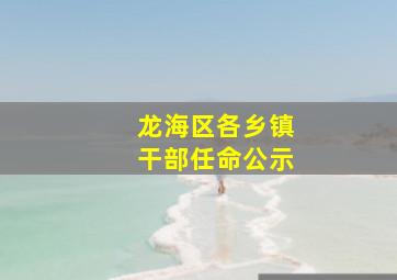 龙海区各乡镇干部任命公示